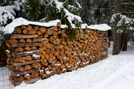 firewood store in winter timeの写真素材
