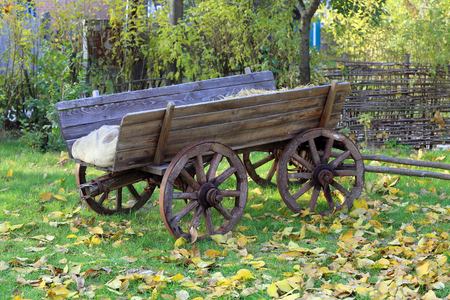 Wooden carriage in autumn gardenの写真素材