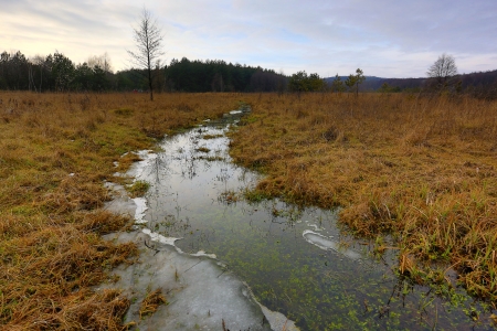 Early spring on brook in steppeの写真素材