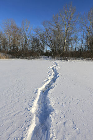 Pathway over winter field in sunny dayの写真素材