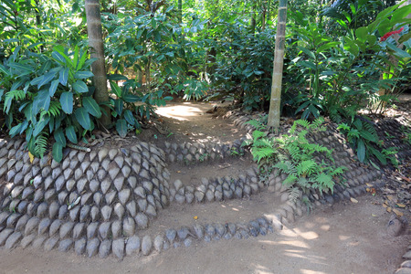 garden's alley in jungle, take it Sri Lankaの写真素材