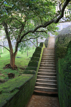 stairway  の写真素材