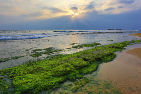 green stones in sea om sunset backgroundの写真素材