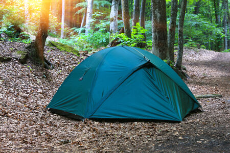 Modern tourist tent in forestの写真素材