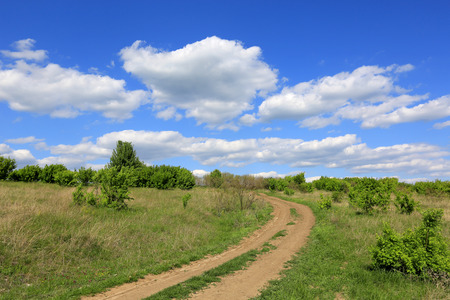 Rut road in steppe under nice skyの写真素材