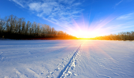 snow path on winder fieldの写真素材
