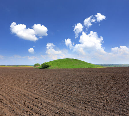 scene with green hill on agricultural field の写真素材