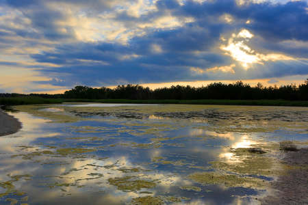 Scene with sunset over old lakeの写真素材