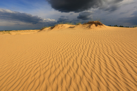 Scene with dunes in sandy desert under dark skyの写真素材