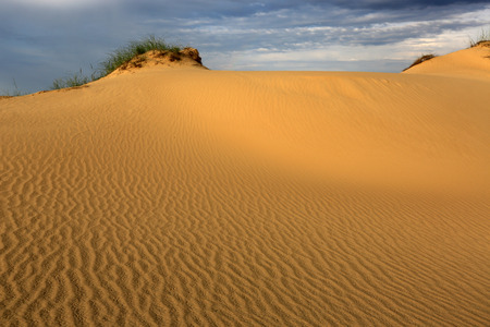 Scene with dunes in sandy desertの写真素材