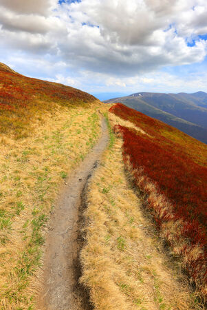 Pathway among nice meadow on mountain's slope. Carpathians, Ukraine. の写真素材
