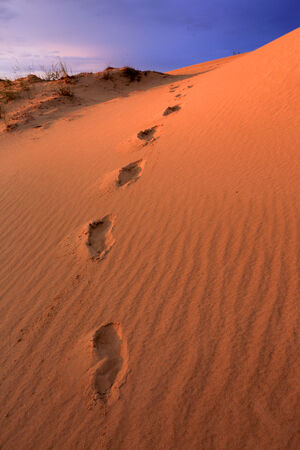 footsteps on red sand in desert at evening timeの写真素材