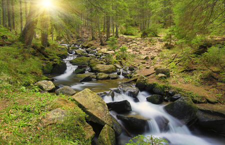 Run of mountain river in forest

の写真素材