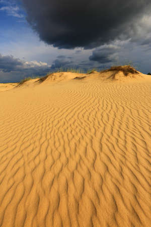 Scene with dunes in sand desert under dark sky before thunder storm

 の写真素材
