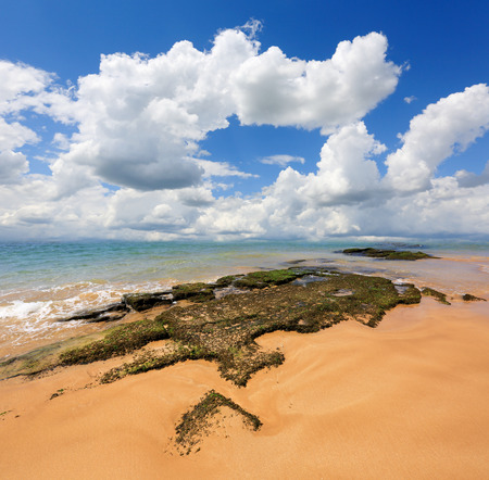 Nice summer scene on ocean beachの写真素材