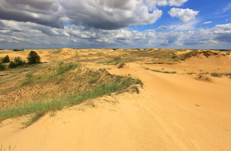 landscape with sand desert under nice skyの写真素材