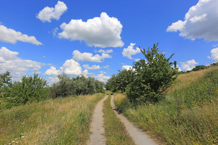 rut road among steppe in nice cloudy day

の写真素材