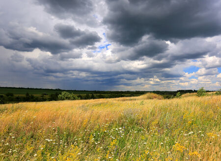 summer meadow under dark clouds before thunder stormの写真素材