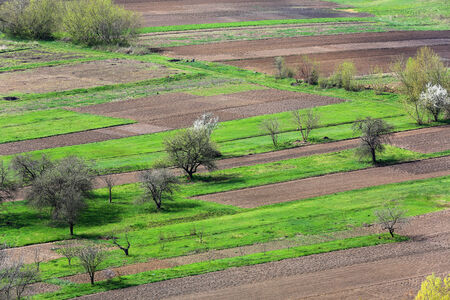 Aerial view on cultivater agricultural fieldの写真素材