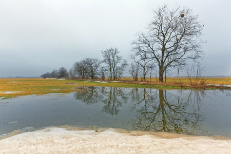 Early spring morning on meadow with snow slushの写真素材