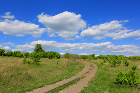 rut rural road over meadow in steppeの写真素材