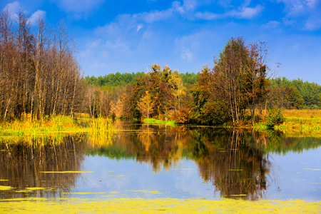 Nice autumn scene on lake

の写真素材