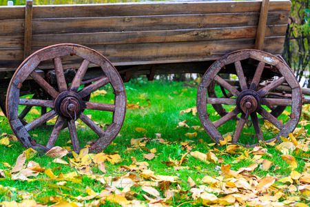 Old wooden carriage in autumn park