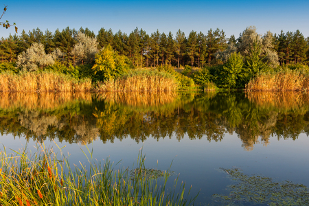 nice evening scene on riverの写真素材