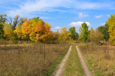 rut road on autumn meadow in nice dayの写真素材