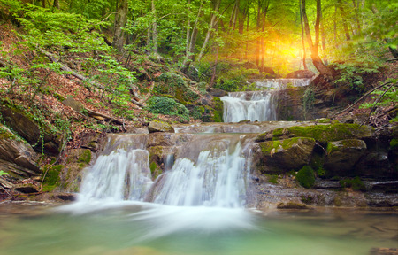 Nice waterfall in deep green forestの写真素材