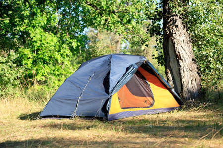tourist tent in forest's campの写真素材