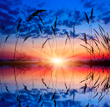sunset over lake. Wiew though grass on bankの写真素材