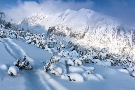 nice winter landscape in mountainsの写真素材