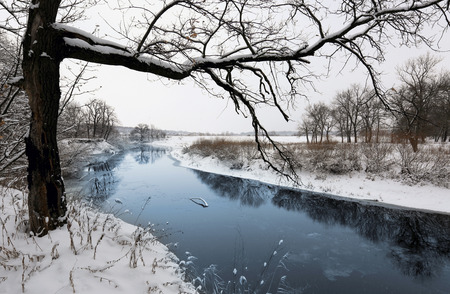 Winter scene with tree near riverの写真素材