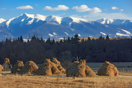 haystack's on meadow on Tatra Mountains background in Slovakiaの写真素材
