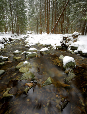 Nice small mountain river in winter forestの写真素材