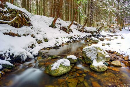 Mountain stream in winter forestの写真素材