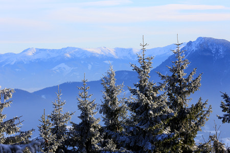 Nice winter scene in Tatra Mountainsの写真素材