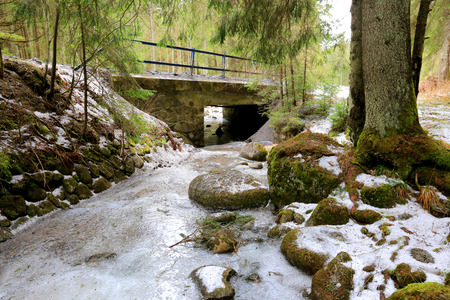 Bridge over frozen river in forestの写真素材