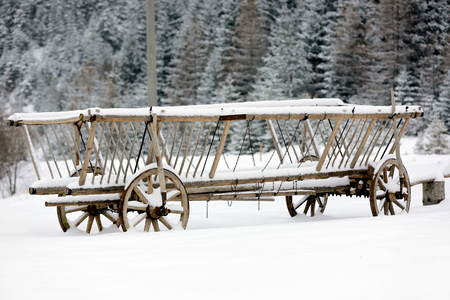 vintage wooden carrige under snow in forestの写真素材