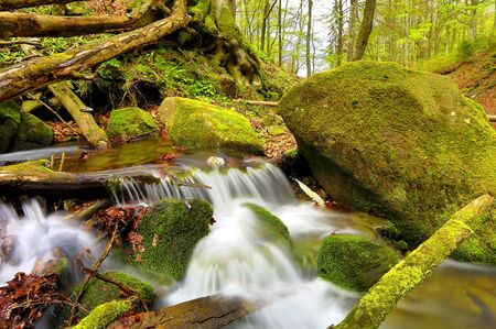 small mountain stream among green stonesの写真素材