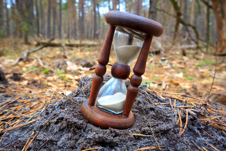 hourglass on soil in pine forest