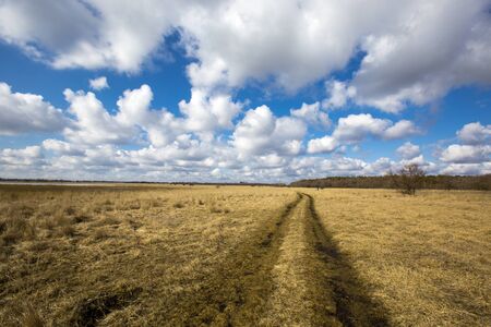 Rut road in steppe under nice clouds in skyの写真素材