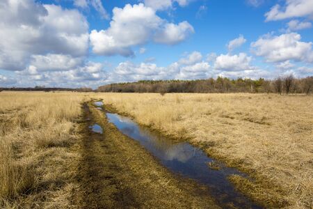 rural road in steppe at nice spring dayの写真素材
