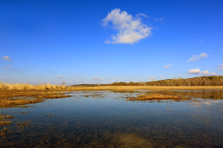 Sigle cloud in sky above small lake in steppeの写真素材