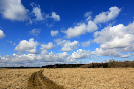 Rut road in steppe under nice clouds in skyの写真素材