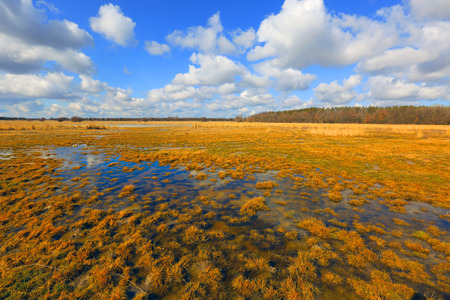 Flooded meadow under nice skyの写真素材