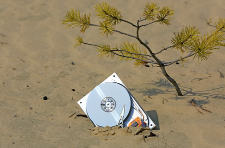 lost computer hard drive on soil in forestの写真素材