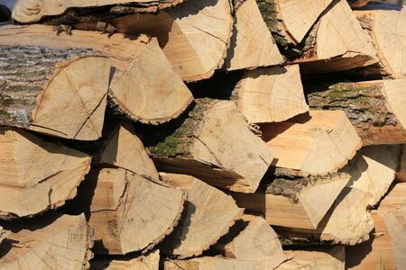 Background of dry chopped firewood logsの写真素材