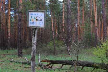 Information board in pine forest with message on Ukrainian: keep forest from fireの写真素材